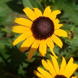 Meet your Posher, Laurel